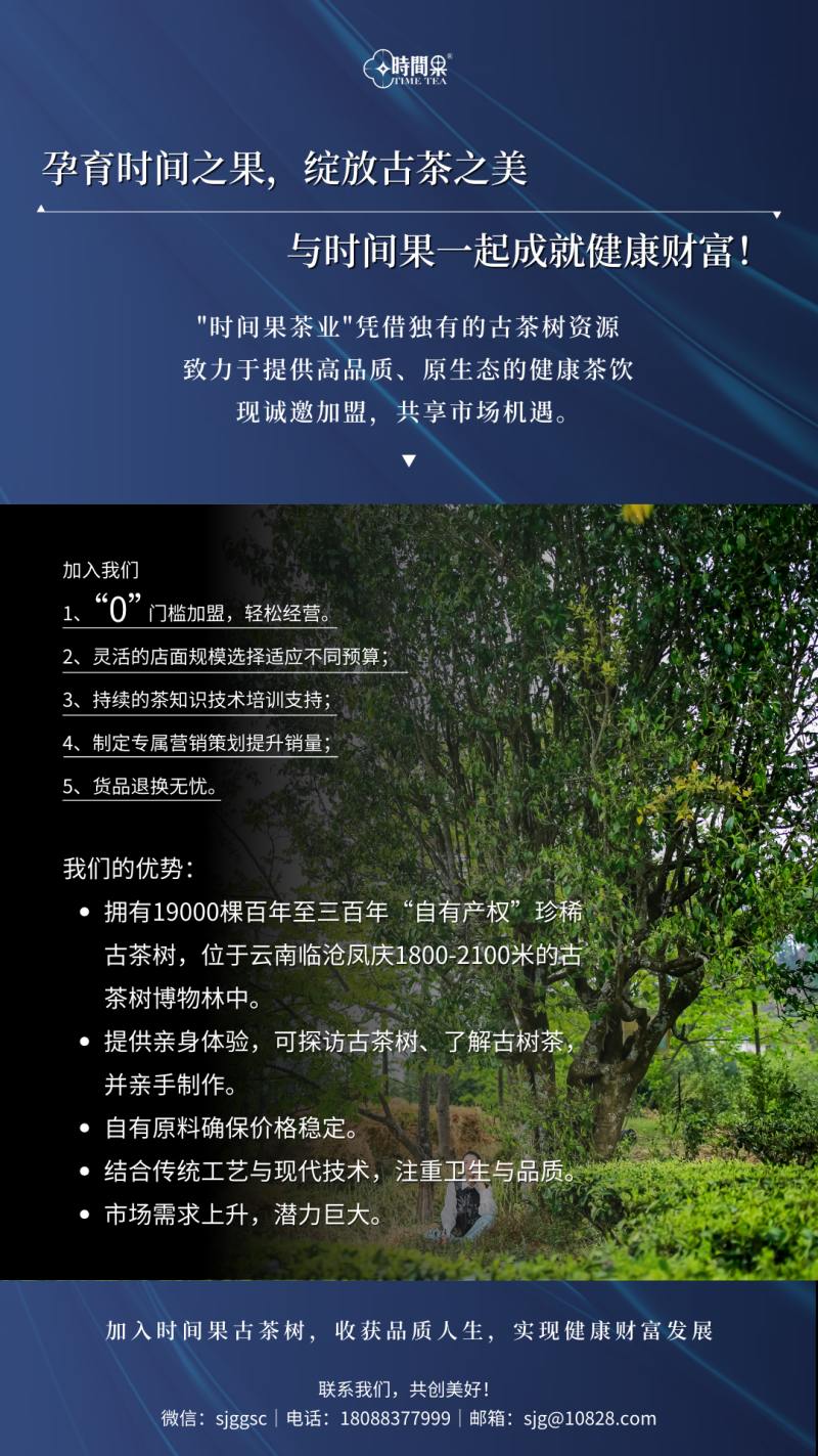 時(shí)間果招商2.jpg